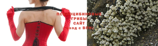 герыч Алексин