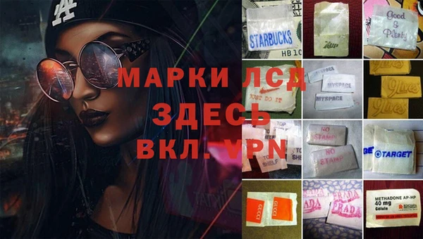герыч Алексин