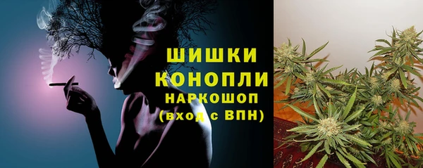 дмт Абаза